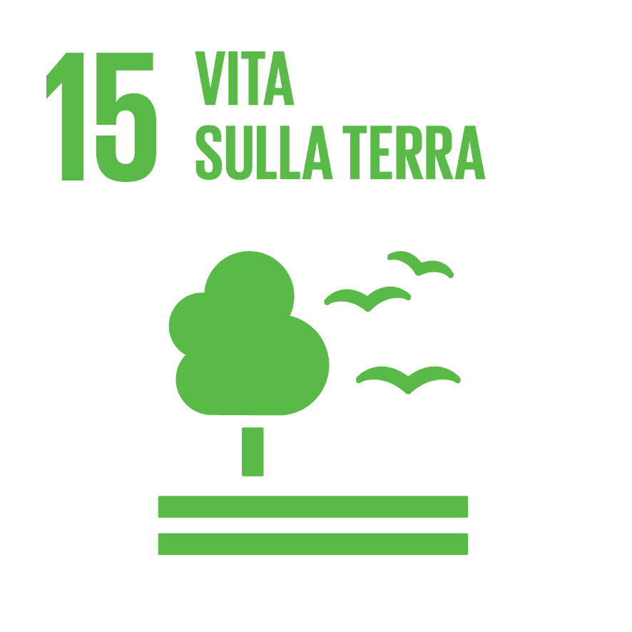 Vita sulla terra